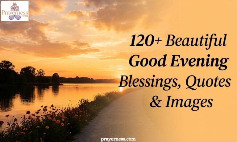120+ Beautiful Good Evening Blessings, Quotes & Images