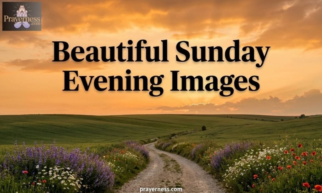 Beautiful Sunday Evening Images